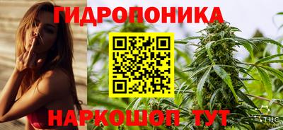 бошки Кинель