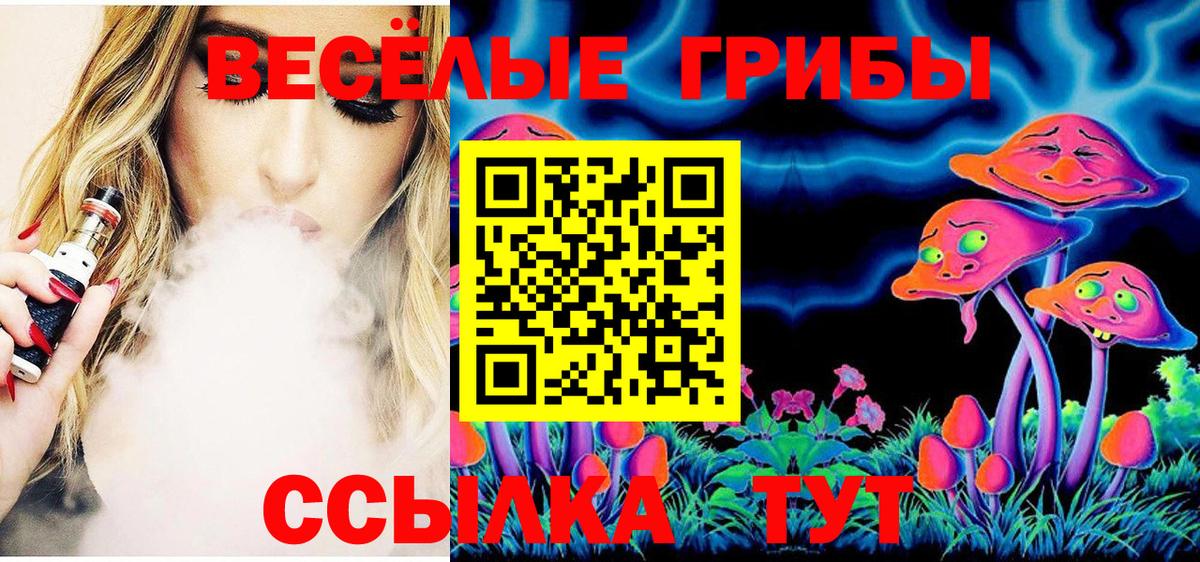 Галлюциногенные грибы MAGIC MUSHROOMS  Вход с VPN  как найти закладки  Кингисепп  Псилоцибиновые грибы Cubensis 