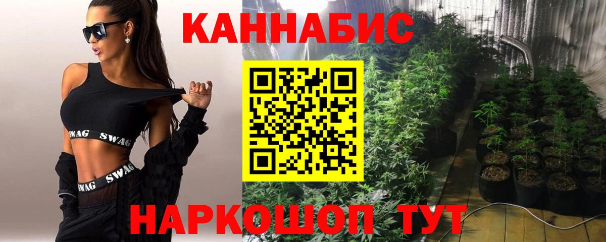 Кингисепп  Бошки Шишки конопля  Бошки Шишки семена  Вход с VPN 